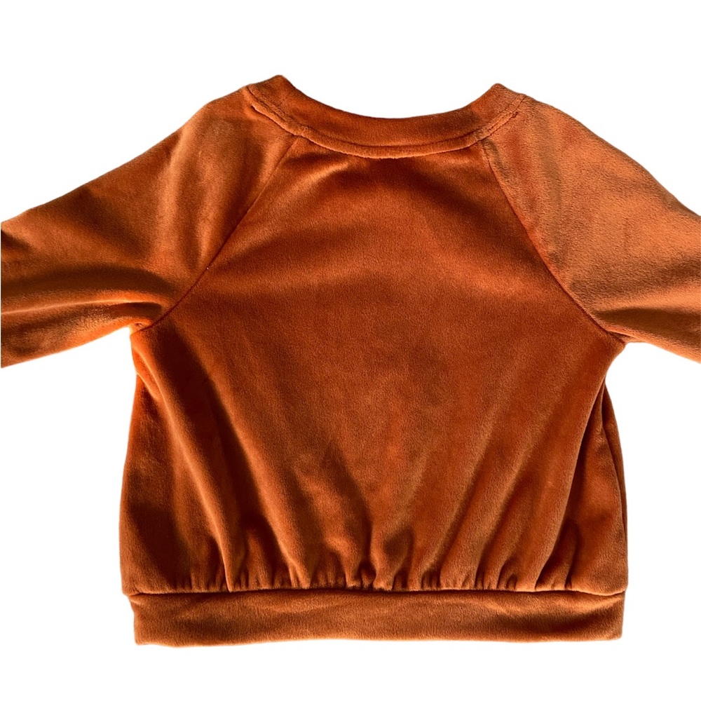 • velour pullover • - Picture 4 of 5